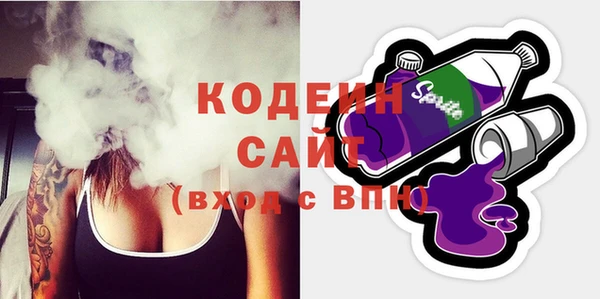 apvp Иннополис