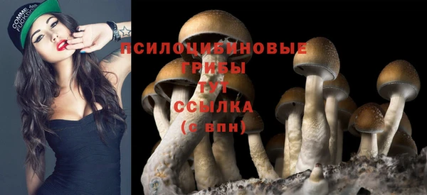 МДМА Инта