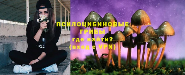apvp Иннополис