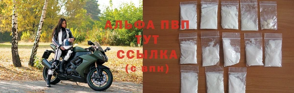 apvp Иннополис
