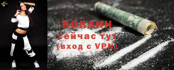 шишки Зеленодольск