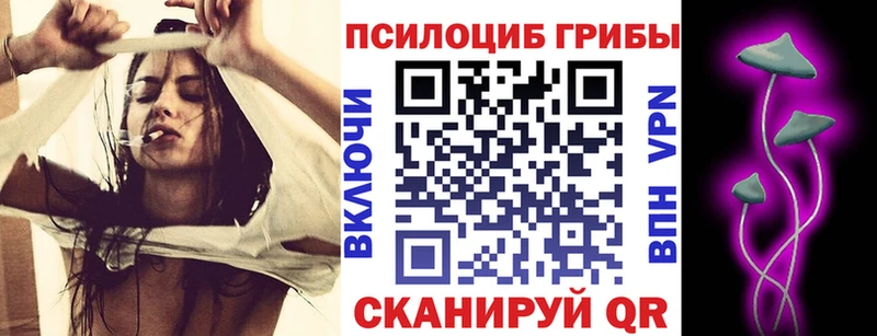 Галлюциногенные грибы Psilocybine cubensis  Димитровград 
